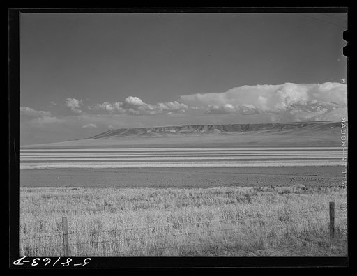 Contour ploughing and strip cropping of wheat fields just north of Great Falls, Montana