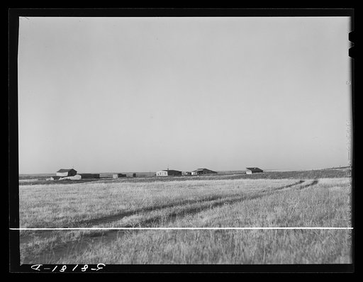 Ranch buildings on prairie land near Havre, Montana