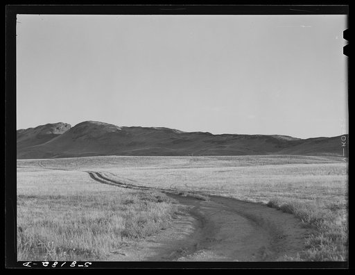 Tracks across prairie to pasture and grazing land near Havre, Montana