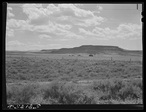Sagebrush and ranch buildings with butte in the background. Near Havre, Montana