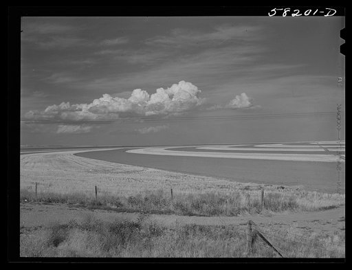 Contour ploughing and strip cropping of wheat fields just north of Great Falls, Montana
