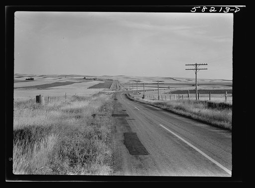 Highway and wheat fields about ten miles north of Culbertson on road to Froid, Montana