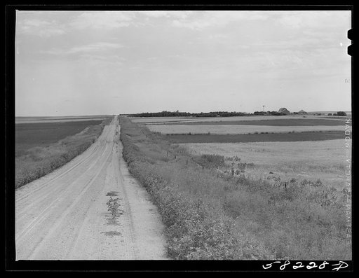 Road through wheat fields near Froid, Montana