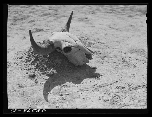 Lame Deer (vicinity), Montana. Skull in front of Indian steam bath on Cheyenne Indian Tongue River Reservation to keep evil spirits away, a belief which is part of their "medicine"
