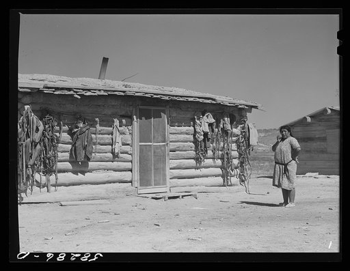 Harnesses for their horses and "medicine" hanging on front of Cheyenne Indians' log hut. Near Lame Deer, Montana