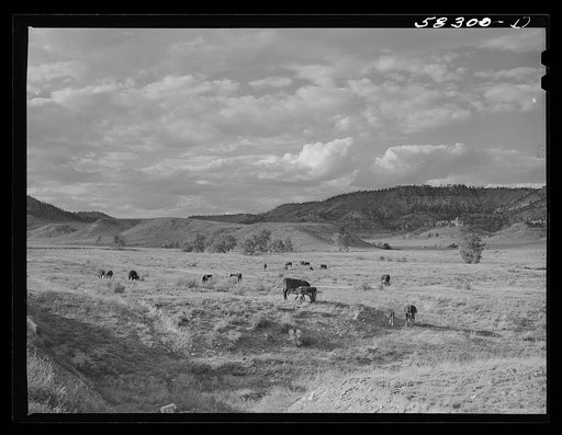 Grazing land between Birney and Lame Deer, Montana