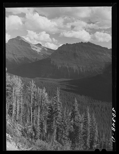 Glacier National Park, Montana