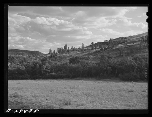 Grazing land between Birney and Lame Deer, Montana