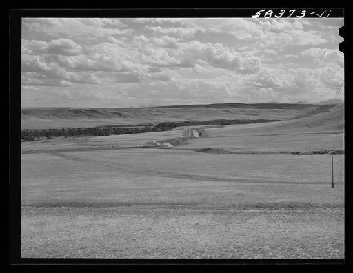 Irrigation ditch across pasture land nrthwest of Great Falls, Montana