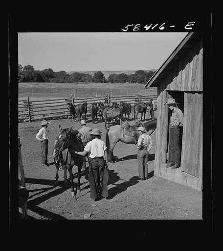 Dudes in the corral at Quarter Circle U Ranch. Birney, Montana