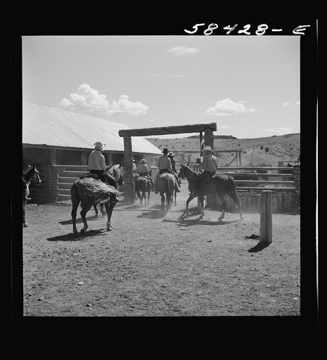 Dudes returning to the corral after a morning ride over the range. Quarter Circle U, Brewster-Arnold Ranch Company. Birney, Montana