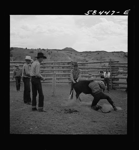 Untitled photo, possibly related to: Dudes in the corral at Quarter Circle U Ranch. Birney, Montana