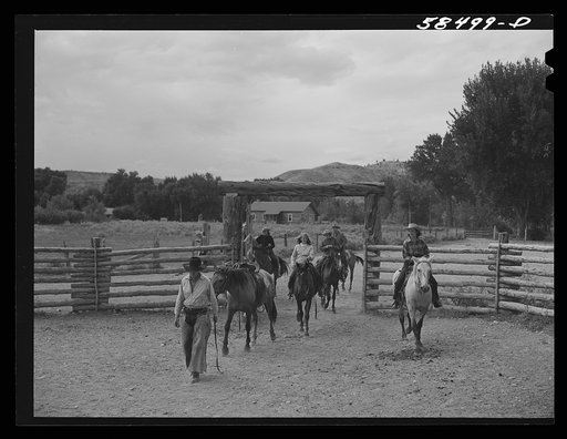 Dudes returning from a morning's ride across the range. Taking horses into the corral. Quarter Circle U, Brewster-Arnold Ranch Company. Birney, Montana