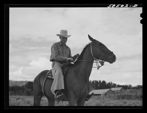 Cowboy training a broncho. Quarter Circle U, Brewster-Arnold Ranch Company. Birney, Montana
