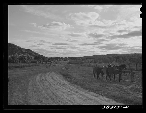 Horses tied up by store in Birney, Montana
