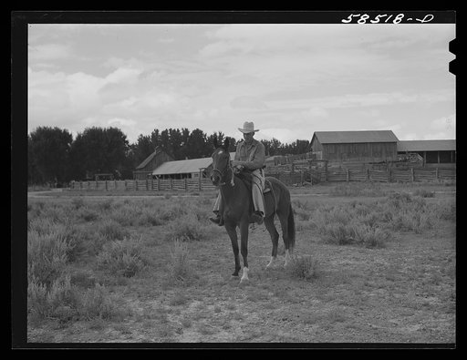 Cowboy training a broncho. Quarter Circle U, Brewster-Arnold Ranch Company. Birney, Montana