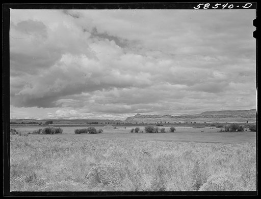 Snake River Valley near Jackson Hole, Wyoming