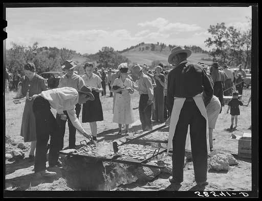 Untitled photo, possibly related to: Barbecuing beef at the stockmen's picnic and barbecue. Spears Siding, Wyola, Montana