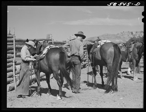 Dudes saddling horses in the corral before going for a ride, over the range. Quarter Circle U, Brewster-Arnold Ranch Company. Birney, Montana
