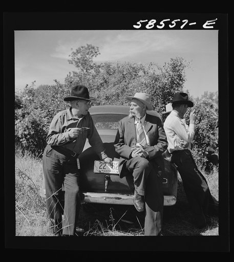Untitled photo, possibly related to: Spear's Siding, Wyola, Montana. Guests at the stockmen's picnic and barbecue