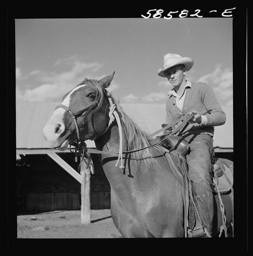 Cowboy on a ranch horse in the corral at Quarter Circle U, Brewster-Arnold Ranch Company. Birney, Montana