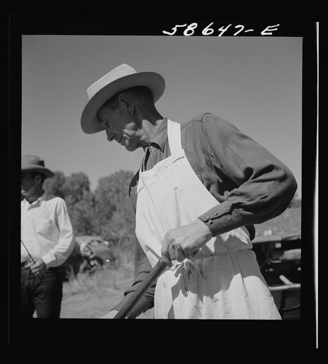 The chef barbecuing beef at the stockmen's picnic and barbecue. Spear's Siding, Wyola, Montana
