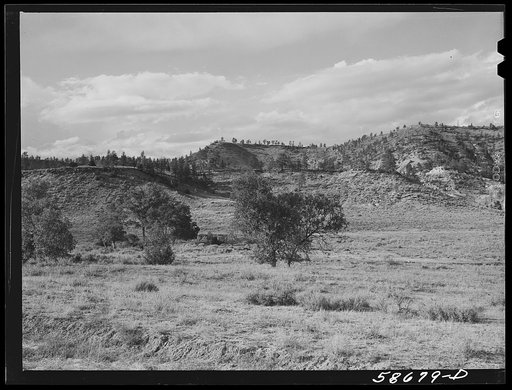 Grazing land near Birney, Montana