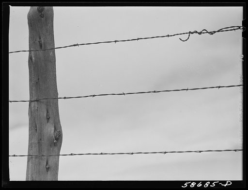 Fence around ranch grazing lands. Near Birney, Montana