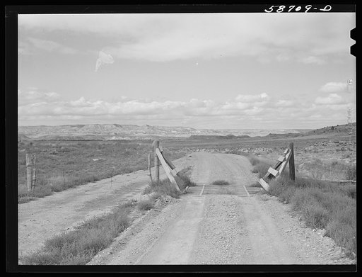 Untitled photo, possibly related to: Cattle guard through grazing lands on road near Birney, Montana