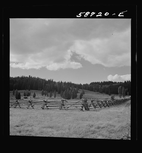 Rail fence near Granby, Colorado