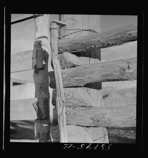 Untitled photo, possibly related to: Detail of corral gate and fence. Quarter Circle U, Brewster-Arnold Ranch Company. Birney, Montana