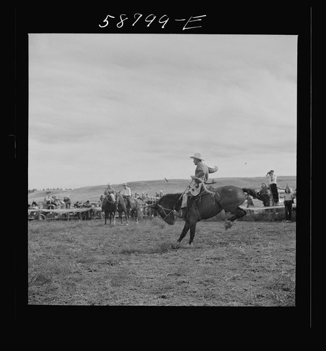 Untitled photo, possibly related to: Roping a milk cow at annual rodeo. Ashland, Montana