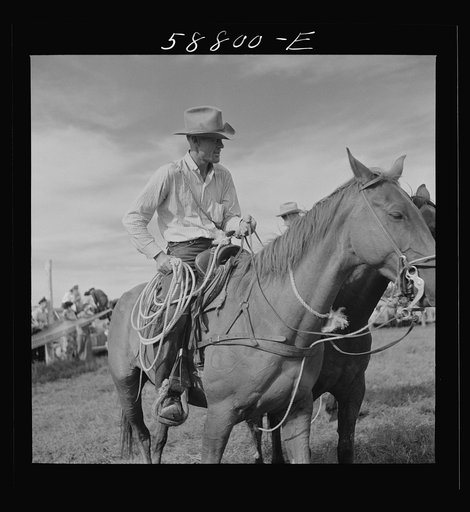 Untitled photo, possibly related to: Roping a milk cow at annual rodeo. Ashland, Montana