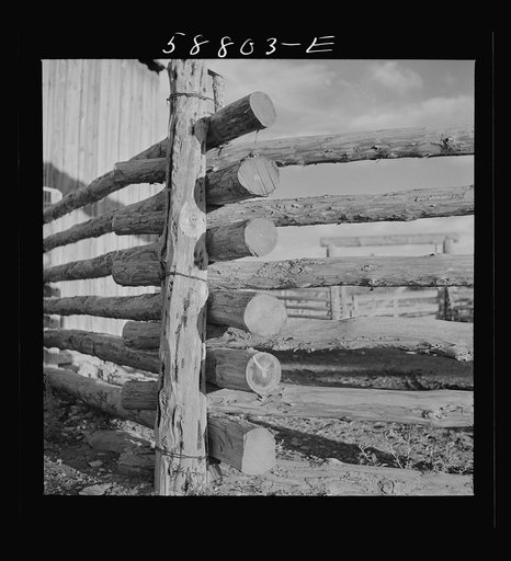 Detail of corral fence. Quarter Circle U, Brewster-Arnold Ranch Company. Birney, Montana