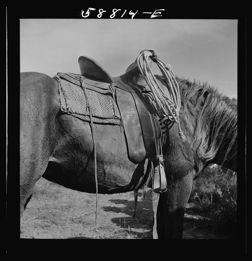 Detail of saddle on cowhand's horse at Ashland rodeo, Montana