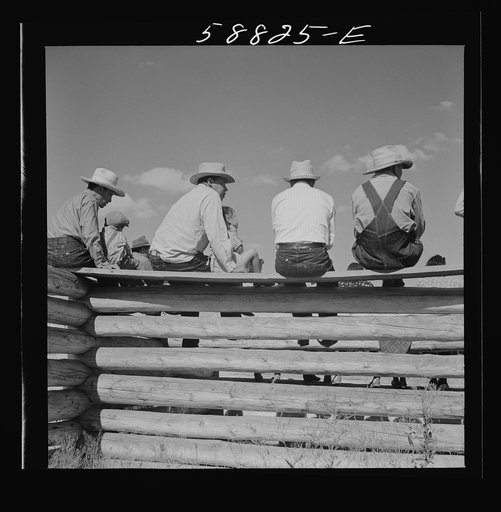 Untitled photo, possibly related to: Indians and spectators at annual fair. Crow Agency, Montana