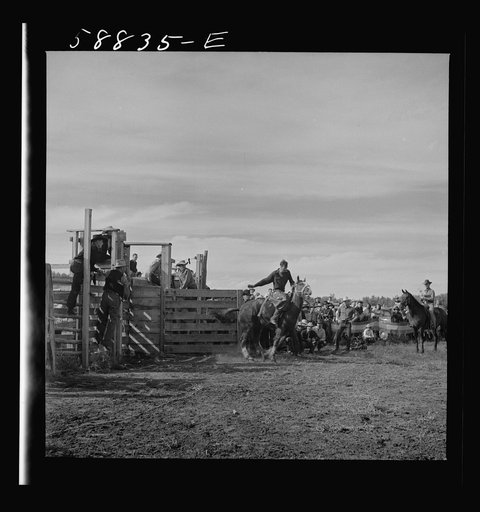 Untitled photo, possibly related to: Indians watching the Crow fair at Crow Agency. Montana