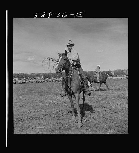 Untitled photo, possibly related to: Roping a milk cow at annual rodeo. Ashland, Montana