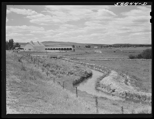 Yampa River Valley, Colorado. Pure-bred cattle ranch