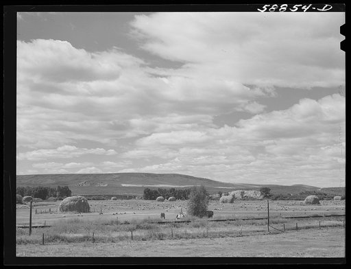 Untitled photo, possibly related to: Haying in the Yampa River Valley, Colorado