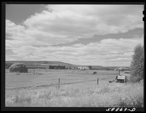 Sheepherders' tent on grazing land in Yampa River Valley, Colorado