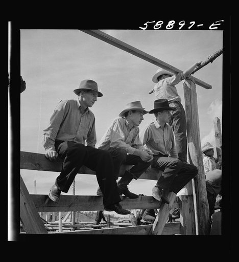 Boys from nearby ranches at rodeo. Ashland, Montana