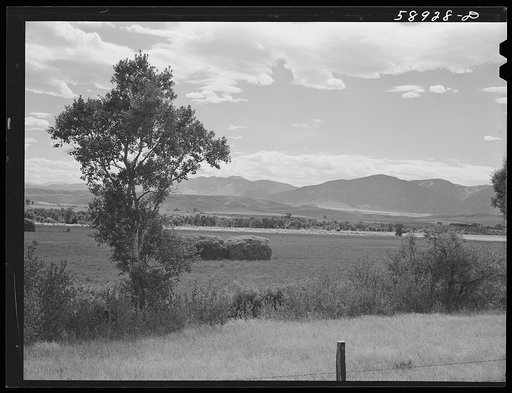 Landscape with hay field. Rocky Mountains in backgorund. Kleeburn, Wyoming