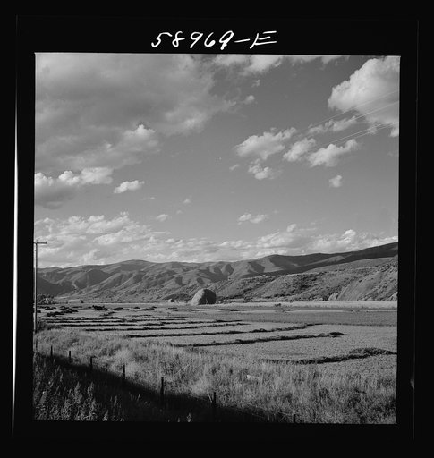 Cutting and raking hay in the valley near Aspen, Colorado
