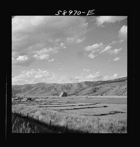 Untitled photo, possibly related to: Cutting and raking hay in the valley near Aspen, Colorado