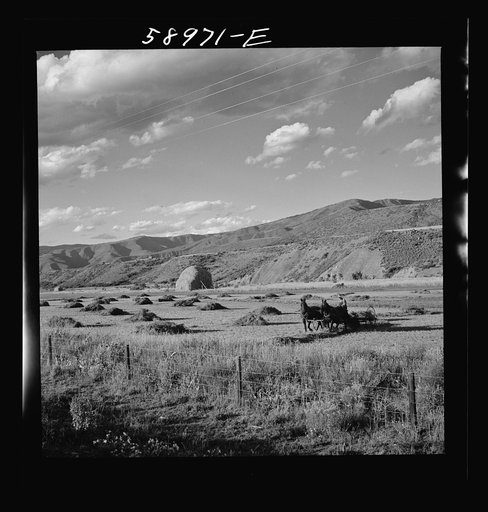 Cutting and raking hay in the valley near Aspen, Colorado
