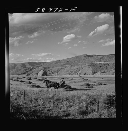 Untitled photo, possibly related to: Cutting and raking hay in the valley near Aspen, Colorado
