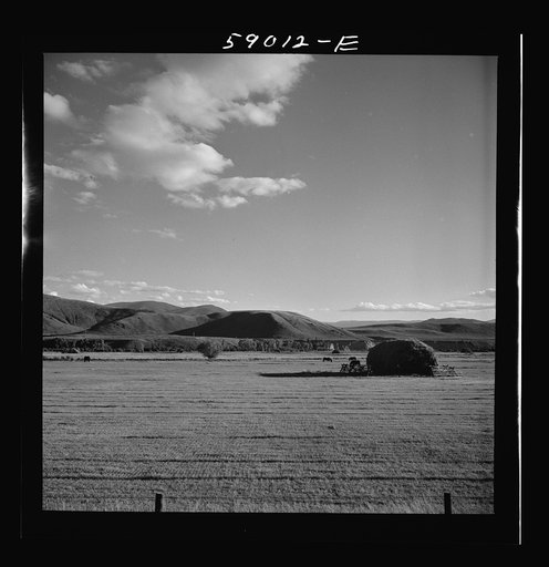 Hay field near Aspen, Colorado