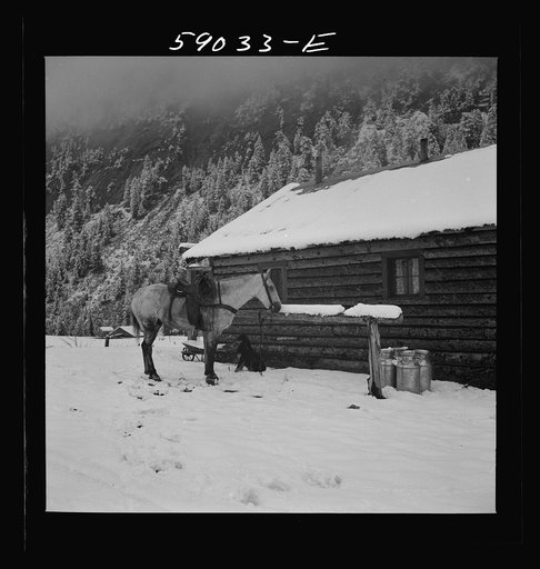 Untitled photo, possibly related to: Ranch house after early fall blizzard in mountains near Aspen, Colorado