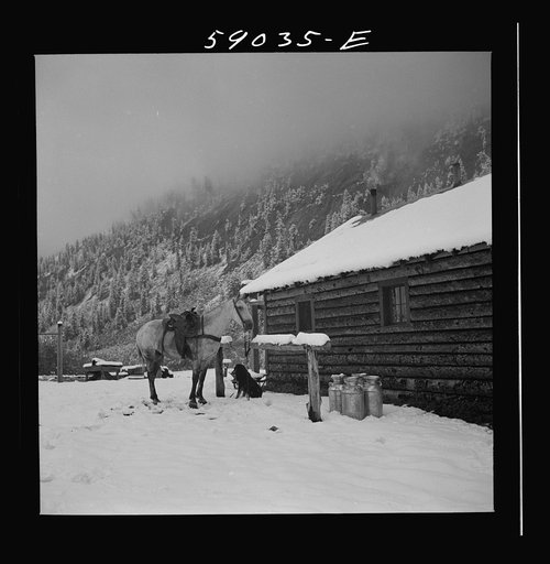 Untitled photo, possibly related to: Ranch house after early fall blizzard in mountains near Aspen, Colorado